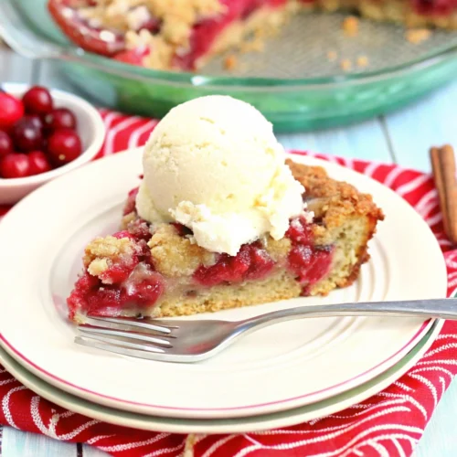 Close up of Crustless Cranberry Pie